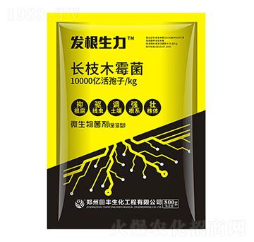 長(zhǎng)枝木霉菌-發(fā)根生力-聚無(wú)霸