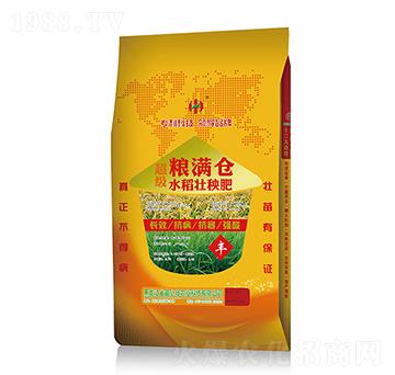 超級(jí)水稻壯秧肥-糧滿倉-苗必壯