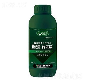 海藻線樂適-?？破? width=