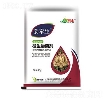 生姜專用微生物菌劑-姜泰生-韓金-韓邦肥業(yè)