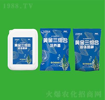 黃金三組合-水體凈化擴培菌種-新未來