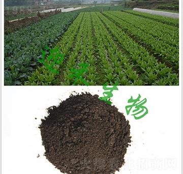 蔬菜專(zhuān)用肥-迎禾生物