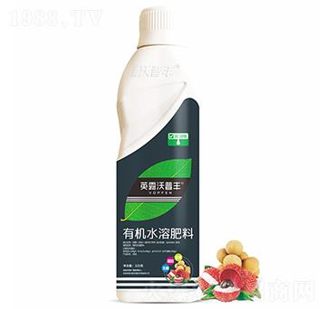 荔枝龍眼需配有機水溶肥料-英露沃普豐