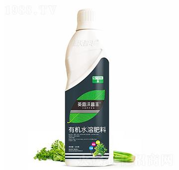 芹菜需配有機水溶肥料-英露沃普豐