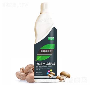 食用菌需配有機(jī)水溶肥料-英露沃普豐