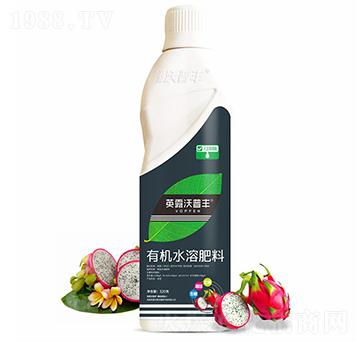 火龍果需配有機水溶肥料-英露沃普豐