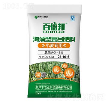 48%小麥專用海藻型復(fù)合肥料26-16-6-百倍邦-新洋豐