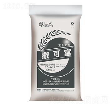 (zhun)÷20-0-24-ɸ-