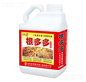 根多多-正丹力-金凱陽(yáng)