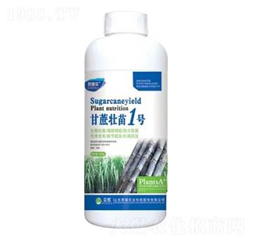 1000g甘蔗壯苗1號-榮耀農(nóng)業(yè)
