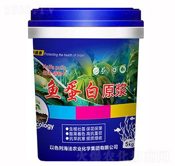 魚蛋白原漿-普洛特