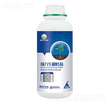 含腐植酸水溶肥料-強力生根壯苗-波樂生物