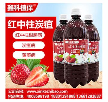 紅中柱炭疽靈-鑫科植保