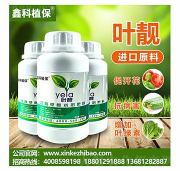 葉靚含氨基酸水溶肥料-鑫科植保