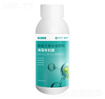 有機海藻硼-益棵
