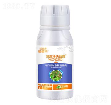 潰腐凈快益周-莓莓樂(lè)-沃益多