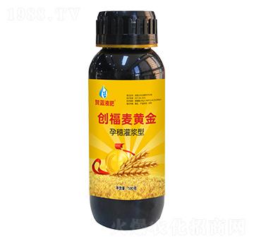 孕穗灌漿型創(chuàng)富麥黃金-賀藍(lán)液肥-創(chuàng)福