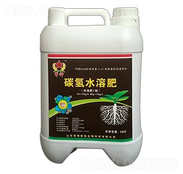 碳?xì)渌芊剩ㄋ躀型）-碳?xì)渖? />
                                </div>
                            </div>
                            
                            <style type=
