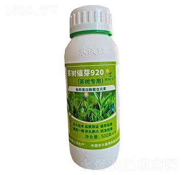 茶樹(shù)專(zhuān)用茶樹(shù)催芽920-農(nóng)沃綠