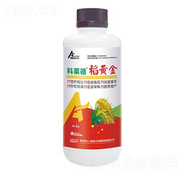 稻黃金-科萊德-雨露艾爾豐