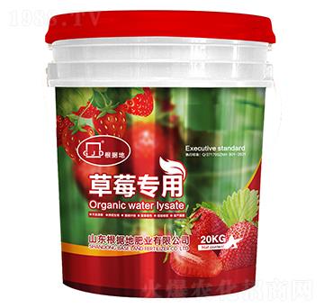 草莓專(zhuān)用水溶肥-根據(jù)地肥業(yè)