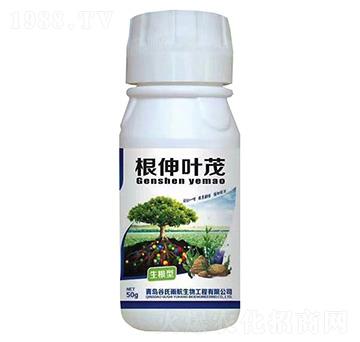 根伸葉茂-生根型-谷氏雨航