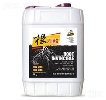 根無-敵-巴斯福