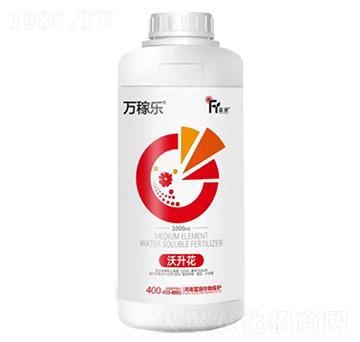 沃升花-萬(wàn)稼樂(lè)-富源作物