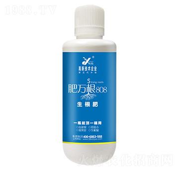 肥萬(wàn)根-昕爵