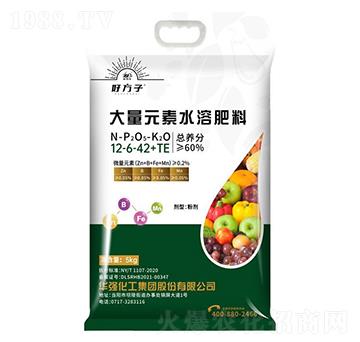 大量元素水溶肥料12-6-42+TE-好方子-華強化工集團