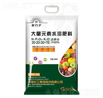大量元素水溶肥料20-20-20+TE-好方子-華強化工集團