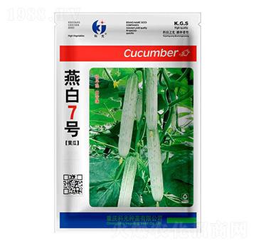 燕白7號(hào)-科光種苗