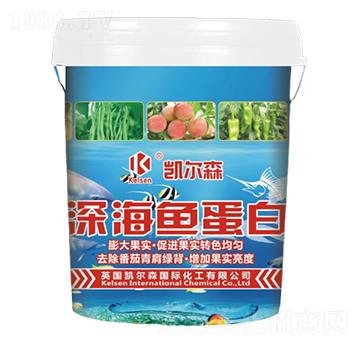 深海魚蛋白-凱爾森-尚臻科技