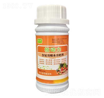 含氨基酸水溶肥料-植動(dòng)力-彩豐農(nóng)業(yè)