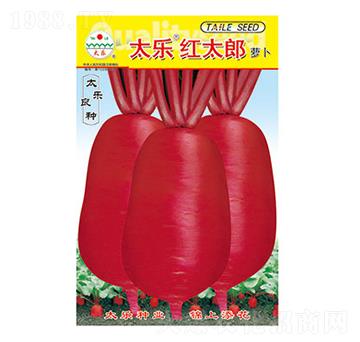 蘿卜種子-太樂紅太郎-太樂種業(yè)