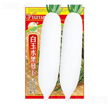 蘿卜種子-白玉水果蘿卜-太樂種業(yè)