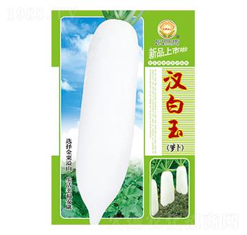 蘿卜種子-漢白玉-太樂種業(yè)