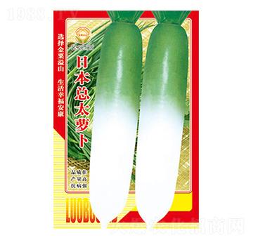 蘿卜種子-日本總太蘿卜-太樂(lè)種業(yè)