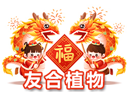 【鄭州友合植物】祝全國(guó)人民在新的一年里年年有余、歲歲平安！